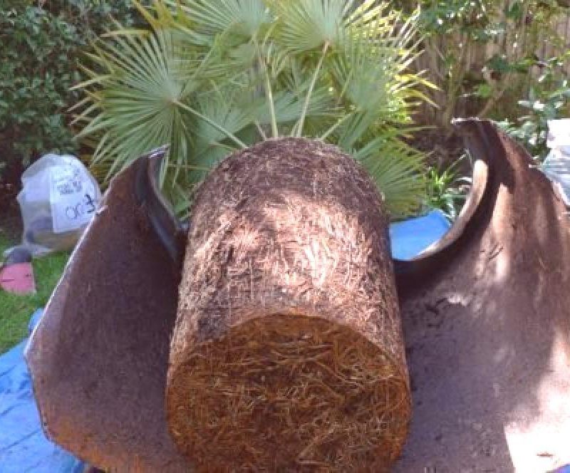 Mediterrane potgrond